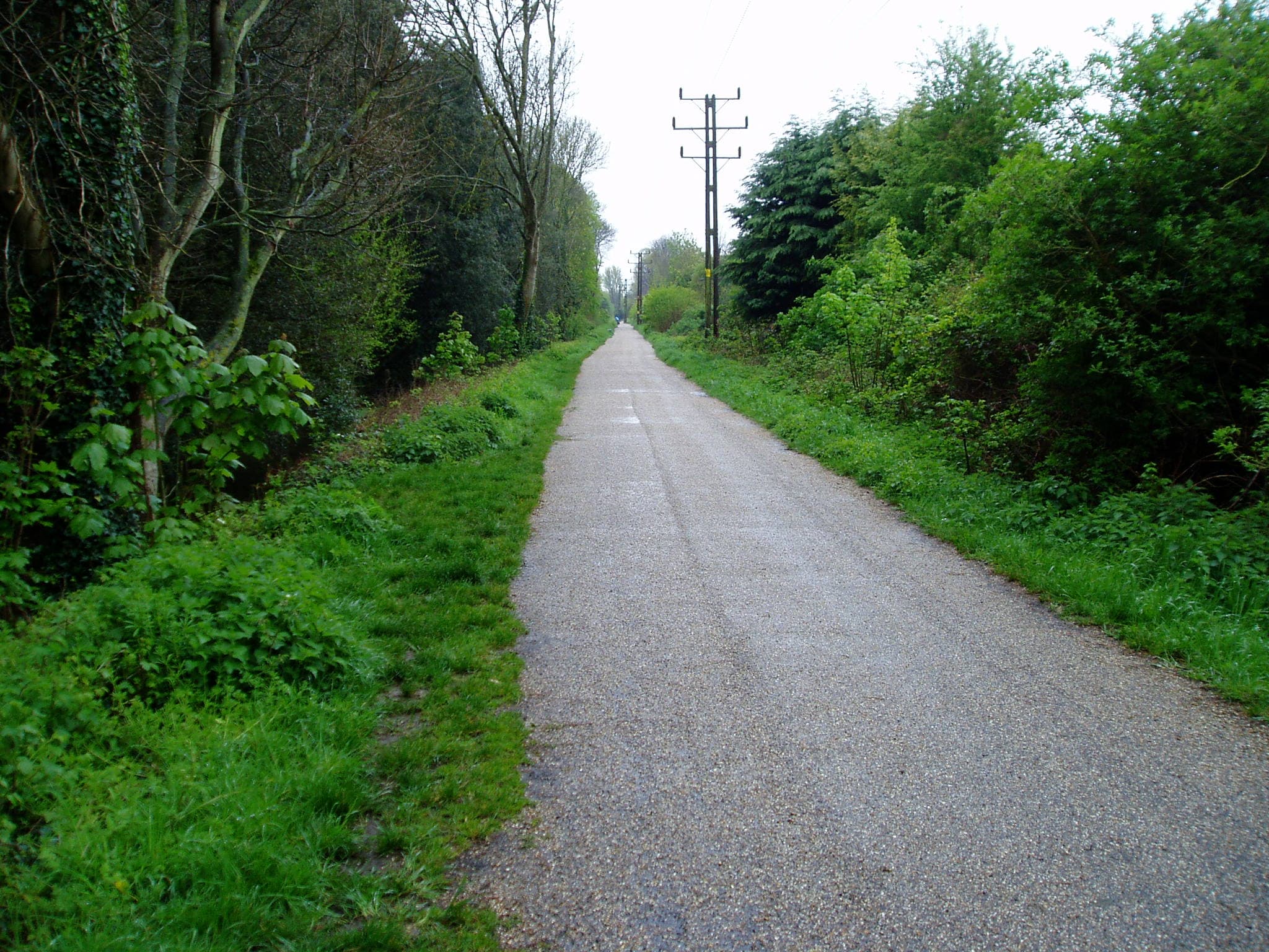The Hayling Billy Trail, a walking and cycling route on the old railway line at Langstone